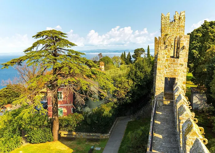 Sunset Gold - Happy *